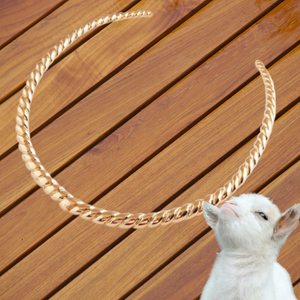 18K Golden Plated Goat Choker