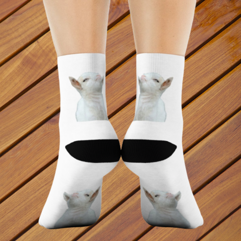 Cute Goat Footsies