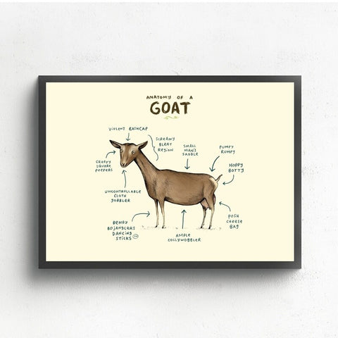 Anatomy of Leh Goat Home Decor