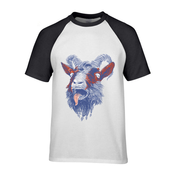 Rock Goat