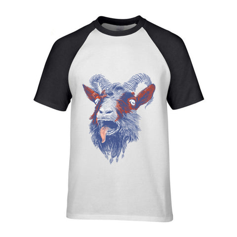Rock Goat
