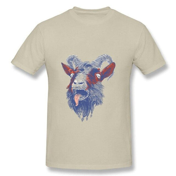 Rock Goat