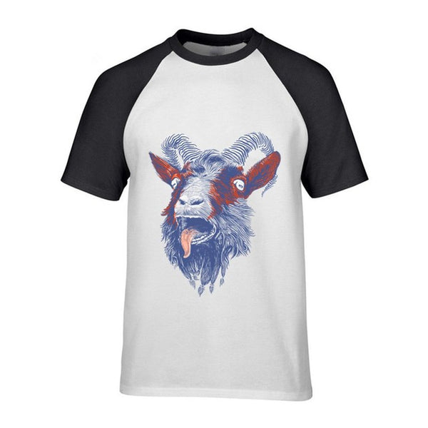 Rock Goat