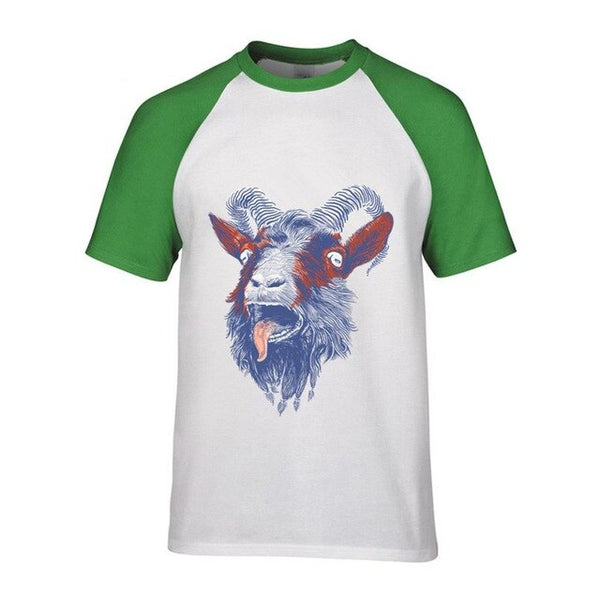Rock Goat