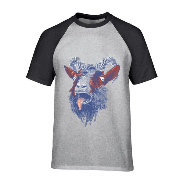 Rock Goat