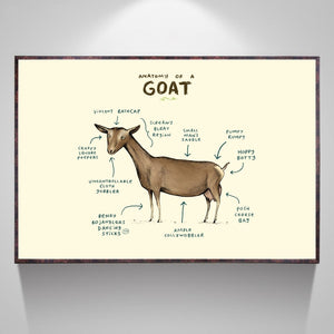 Anatomy of Leh Goat Home Decor