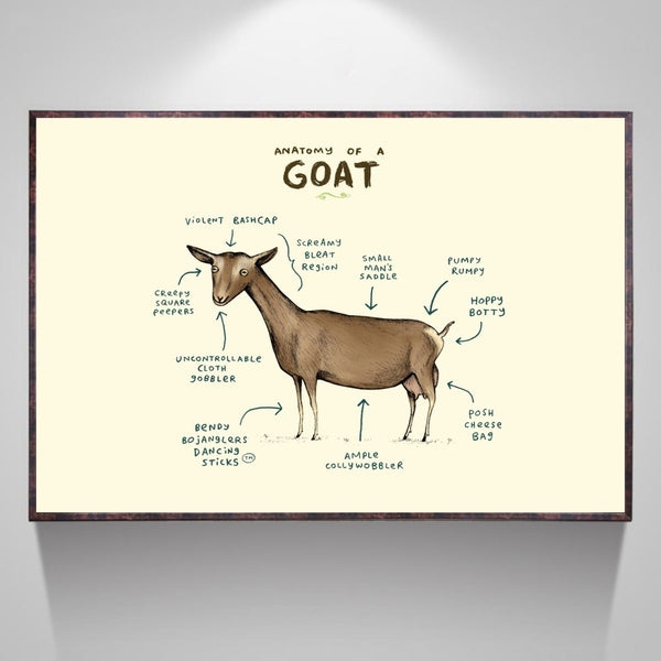 Anatomy of Leh Goat Home Decor